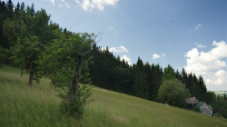 Jablonec nad Jizerou