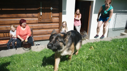 Jablonec nad Jizerou