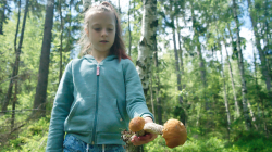 Jablonec nad Jizerou