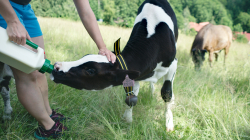Jablonec nad Jizerou