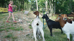 Jablonec nad Jizerou