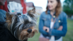 Jablonec nad Jizerou