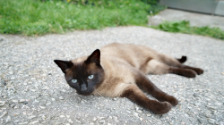 Jablonec nad Jizerou