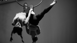 Firefly Summer Party