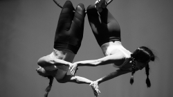 Firefly Summer Party