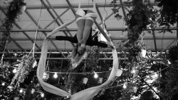 Firefly Summer Party