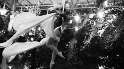 Firefly Summer Party