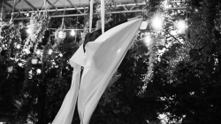 Firefly Summer Party