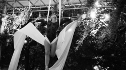 Firefly Summer Party