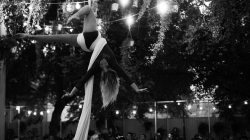 Firefly Summer Party