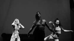 Firefly Summer Party