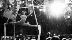 Firefly Summer Party