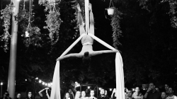 Firefly Summer Party