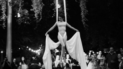 Firefly Summer Party