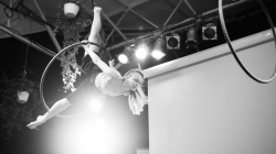 Firefly Summer Party