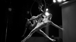 Firefly Summer Party