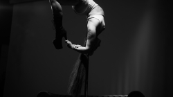 Firefly Summer Party